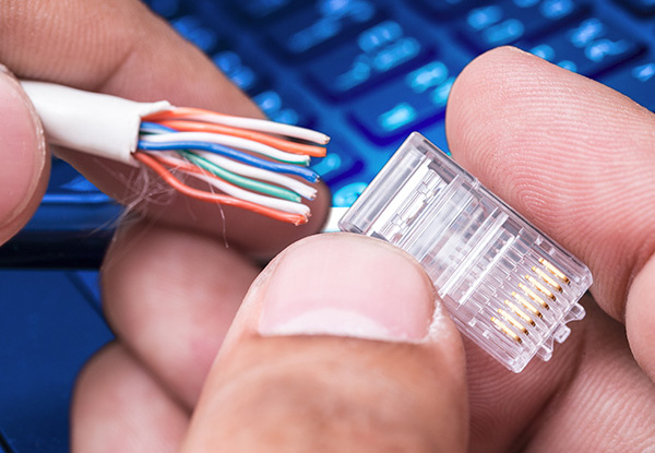 A person holding a computer Wire